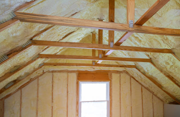 Best Geographic-Specific Insulation Services in USA